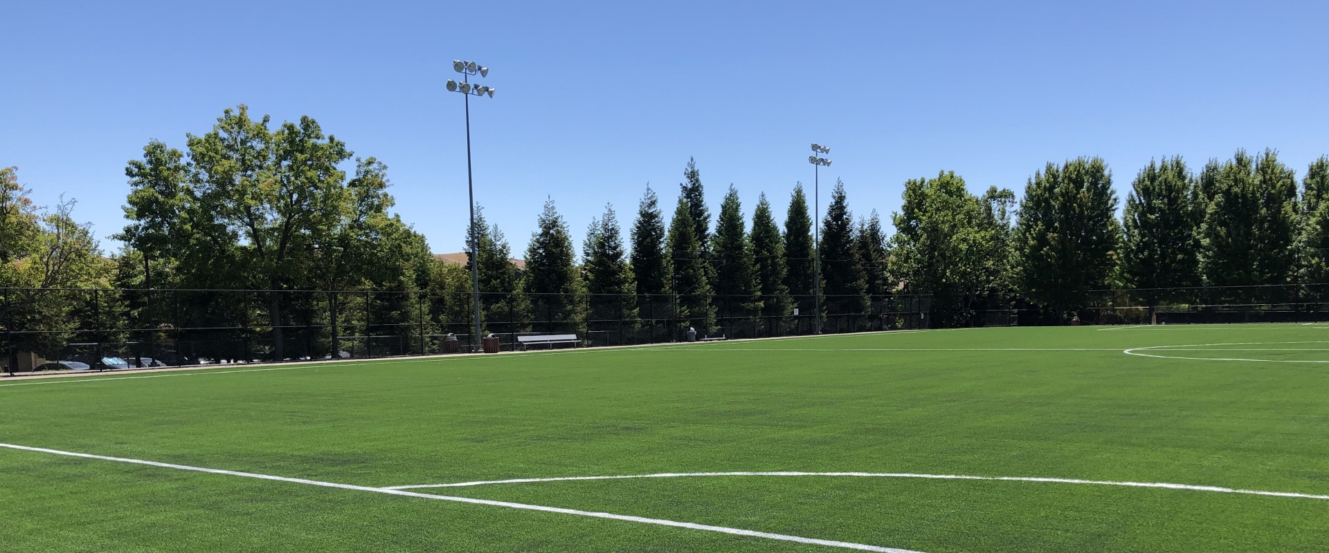 The Power of Sports in Danville, California