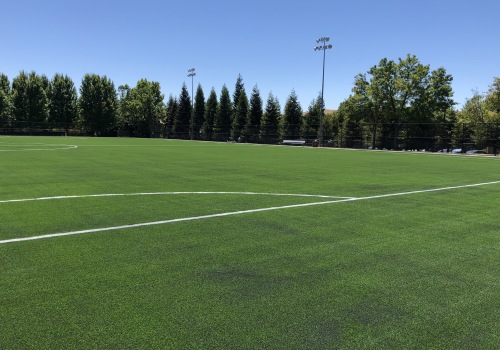 The Power of Sports in Danville, California