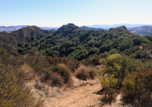 Exploring the Best Hiking Trails in Danville, California